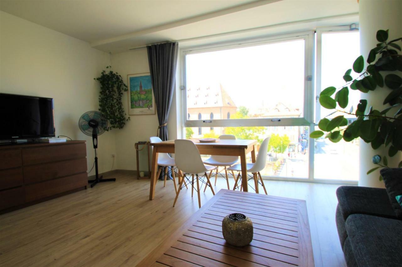 Au Coeur De Strasbourg, 3 Pieces Vue Sur L'Ill! Apartment Luaran gambar